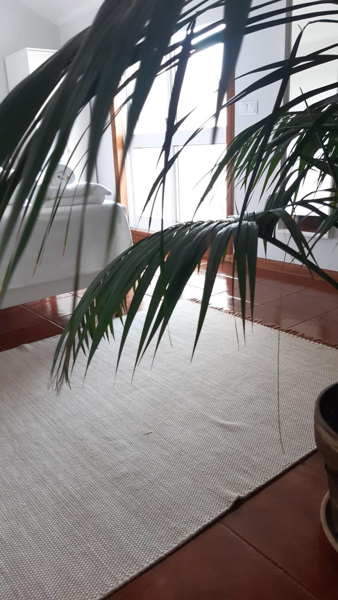 Sun & Sand Guesthouse Esposende Zewnętrze zdjęcie